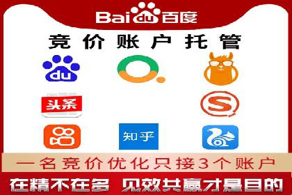 百度SEM代运营案例揭秘，如何实现ROI最大化